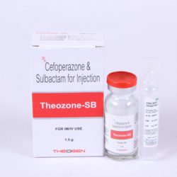 THEOZONE-SB