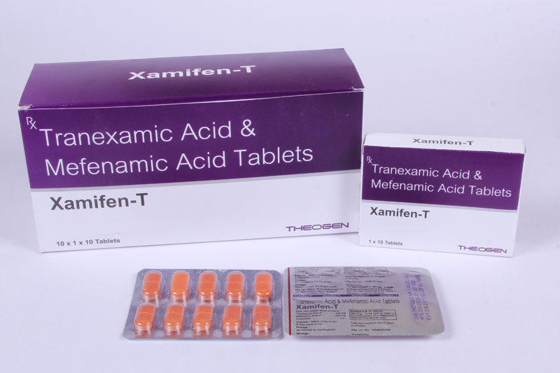 XAMIFEN-T